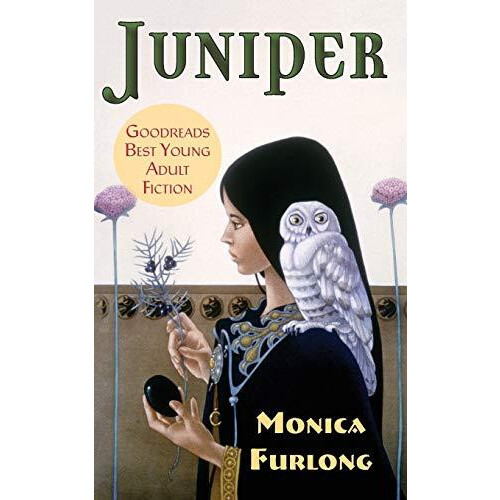 Juniper by Monica Furlong Paperback Book