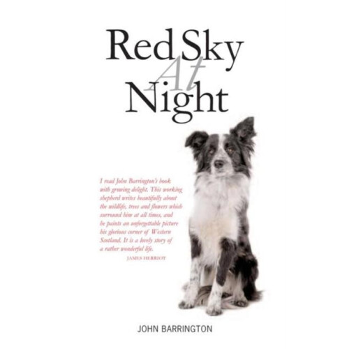 Red Sky at Night by John Barrington Paperback Book