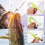 Annyswit 58 Pcs Jig Heads with Soft Plastic Lures, Perch Lures Kit 6