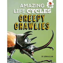 Amazing Life CyclesMinibeasts by John Allan Paperback Book