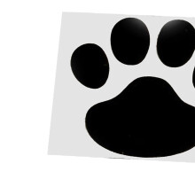 Universal Black Paw Decal for Car Laptop