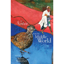 Notes from the Middle World by Breyten Breytenbach Paperback Book