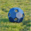 (One Size, Blue) Parallax Plastic Hay Play 1