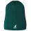 KANGOL (One Size, Pine) Kangol Embroidered Logo Acrylic Pull-On Beanie 1