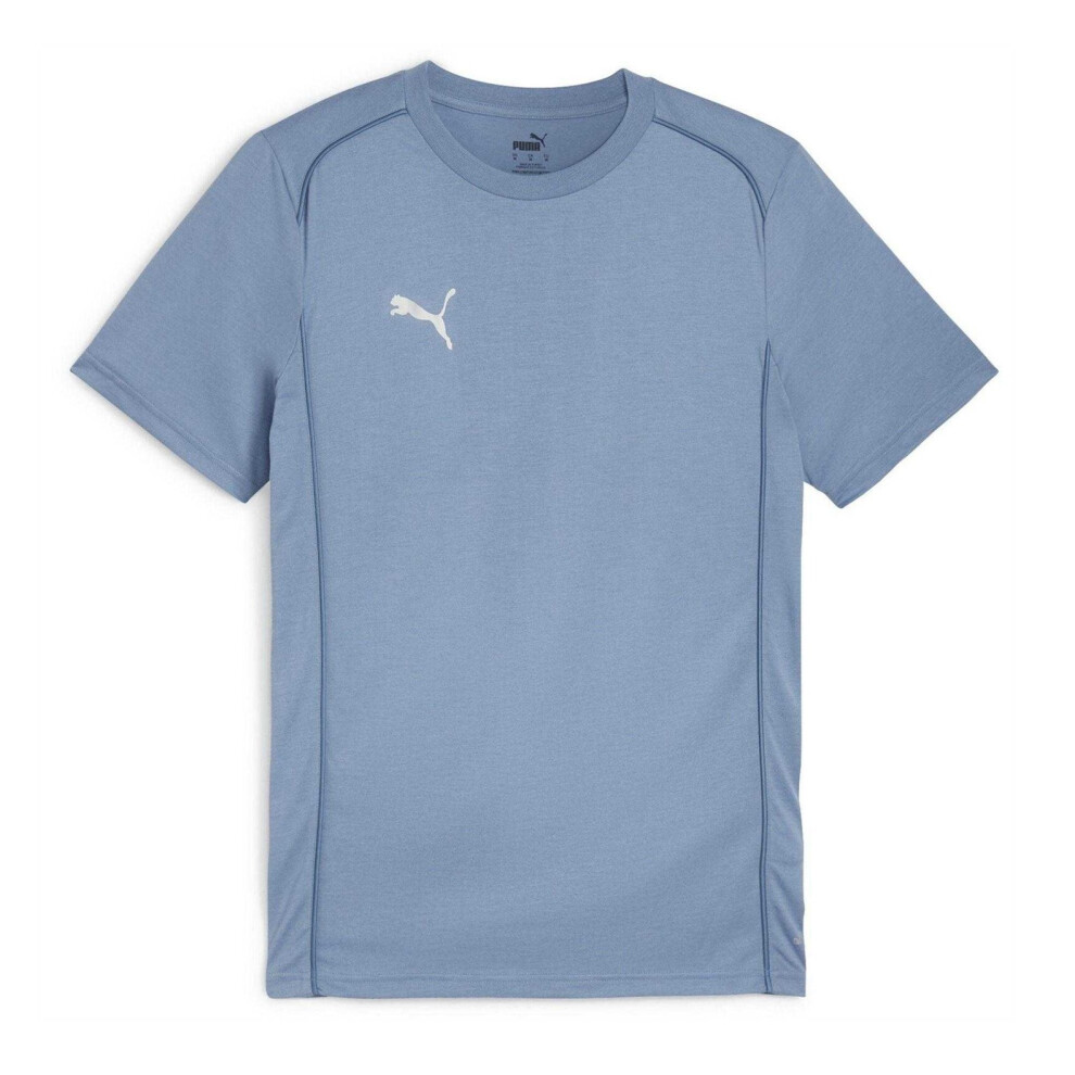 Puma (L, Blue) Mens Teamfinal T-Shirt