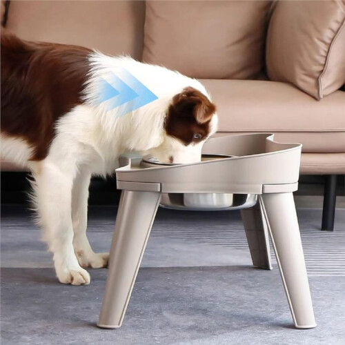 Bebedero Antiderrame para Perros con Soporte Elevado para Todas las Razas de Perros 2