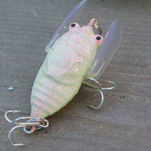 Cicada Bass 1pcs Insect Fishing Lures 4cm Crank Floating Bait Tackle