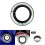 Illuminated Ignition Switch Cover for Focus 6