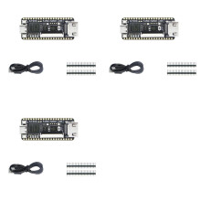 3X Tang 20K FPGA Development Board RISCV Linux för Retro Game Player