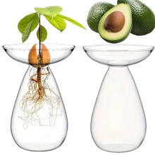 Vase Hydroponique Transparent pour Avocat, Station de Propagation de Plantes, Vase en Verre pour Avocatier, Jardinière de Culture, 2 Pièce