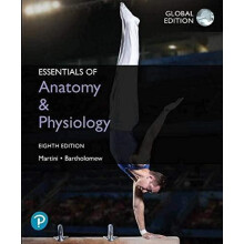 Essentials of Anatomy Physiology Global Edition by Edwin Bartholomew P