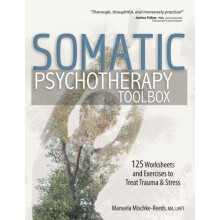 Somatic Psychotherapy Toolbox 125 Worksheets and Exercises to Treat Tr