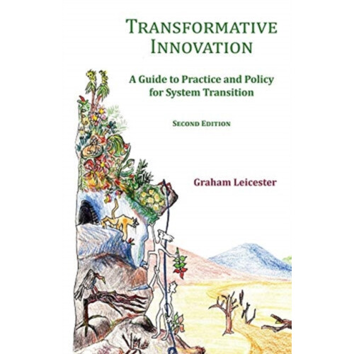 Transformative Innovation A Guide to Practice and Policy for System Tr