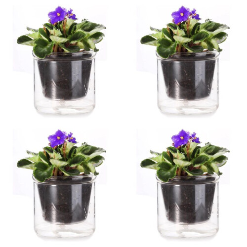 4X Vaso Autoirrigável de 4 Polegadas, Vaso para Violeta Africana, Vaso de Vidro com Fundo Irrigável para Plantas de Interior e Propagação 1