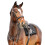Hy Rosciano Horse Stirrup Leathers 2