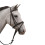 (Cob, Black) Hy Padded Flash Bridle with Rubber Grip Reins 2