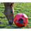 (One Size, Red) Parallax Plastic Hay Play 2