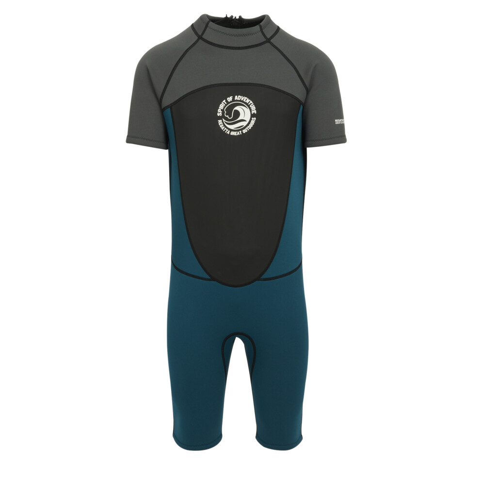 Regatta (Xl-Xxl, /Moroccan Blue) Mens Shorty Wetsuit Grey/Blue