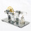 2X Stirling Engine Model Science Experiment Physics Experiment Generator Model Science and Education 5