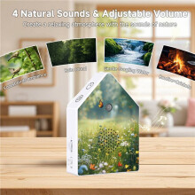2X Singing Bird Box White Noise Music Device Timer Bird Chirping Box with Motion Sensor for Home Bedroom Bathroom Yoga A