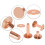308Pcs Copper Rivets for Leather,Smooth Leather Rivets, Pure Copper Rivets and Burrs for Leather Work Jeans Jacket 3