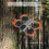 For  Avata 360 Propeller Guard Protective Bumper,AntiScratch Propeller Blade Protector Cage,Durable Prop Guard Orange 3