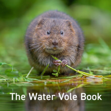 Nature Book Series The Water Vole Book by Hugh Warwick Hardcover Book