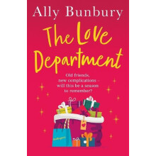 Love Department by Ally Bunbury Paperback Book