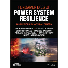 Fundamentals of Power System Resilience by Mathaios Panteli Hardcover