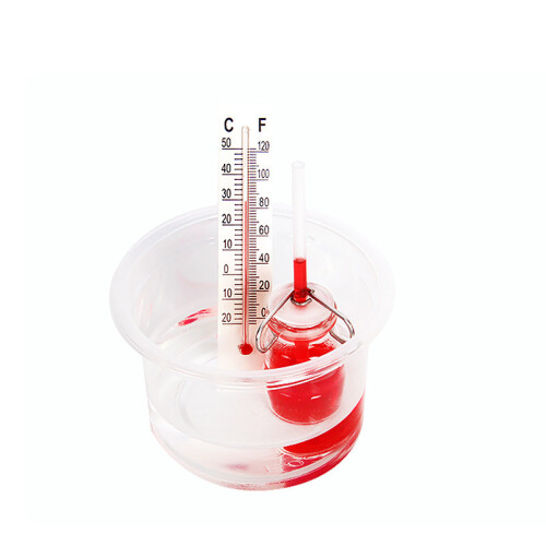Toy Science Physics With Diy Thermometer For Kids Educational And Learning