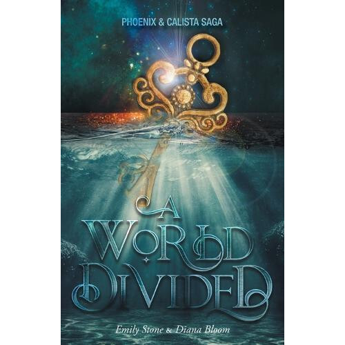 A World Divided by Emily Stone Paperback Book