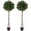 Outsunny Outsunny Realistic Lush Topiary Ball Tree with Twisted Trunk, Green 2