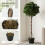 Outsunny Outsunny Realistic Lush Topiary Ball Tree with Twisted Trunk, Green 4