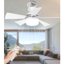 Ceiling Fans with Lights Remote Control for Bedroom Quiet Sleep Mode, 2-in-1 40W E27 Socket & B22 Bayonet Fitting LED Fan 2H/4H Timer, Stepless Dimma