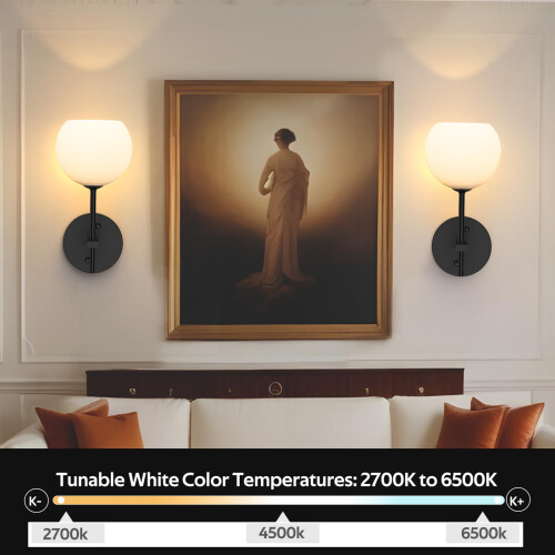LABOREDUCER Rechargeable Wall Lights, 2 Pack, 12 RGB & Dimmable, Black 1