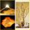 12 PCS LED Fairy String Lights Battery Operated, 20 LEDs 6.5Ft/2M Micro Copper Wire Lights 6