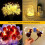 12 PCS LED Fairy String Lights Battery Operated, 20 LEDs 6.5Ft/2M Micro Copper Wire Lights 5