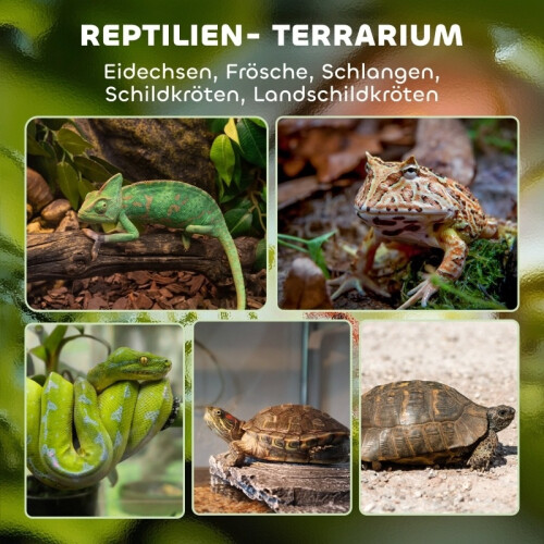 Terrario de cristal para reptiles con base elevada impermeable y cierre de botón. 2