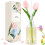 Scent-Hi Reed Diffuser 200ml Fragrance Reed Diffusers, Aromatherapy Diffuser Set with 6 Fiber Sticks, Long Lasting Home Indoor Fragrance Reed Diffuse 1
