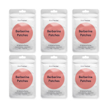 Kind Patches | Appetite Suppressant Patches | 30 Pack | 6 Pack (Six Month Supply)