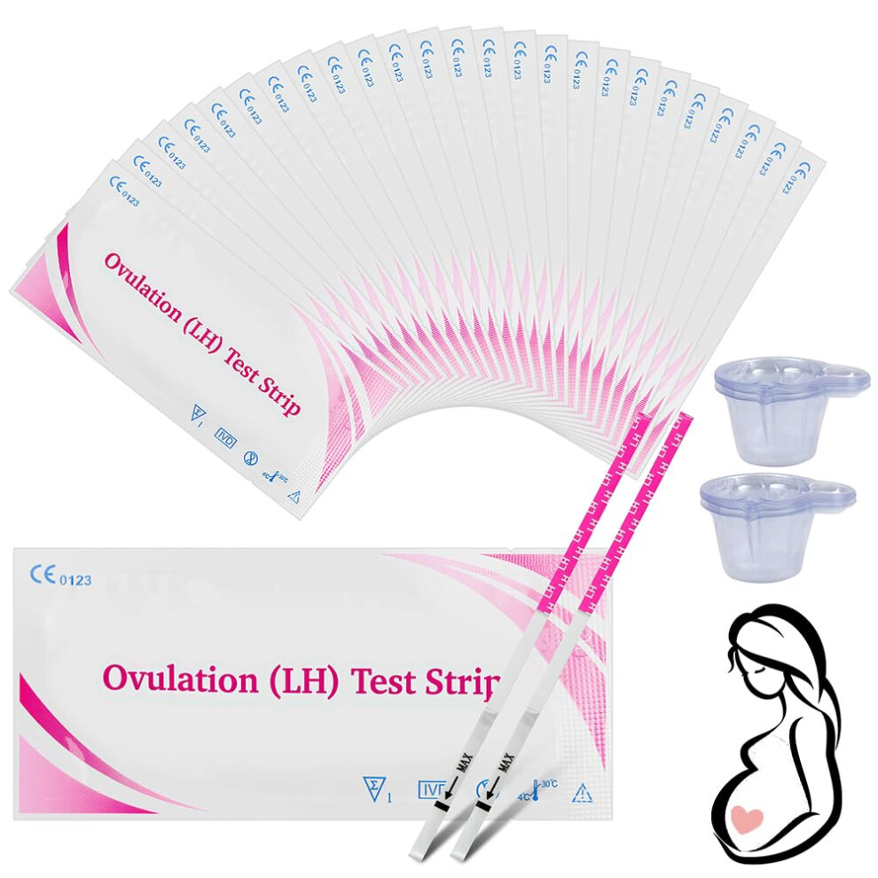Beugo 25 Pack Ovulation Test Strips With 25 Pack Urine Cups, 25Miu/Ml Fertility Tests For Ovulation, Test Kit Sensitive Fertility Predictor Testing S