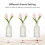 Scent-Hi Reed Diffuser 200ml Fragrance Reed Diffusers, Aromatherapy Diffuser Set with 6 Fiber Sticks, Long Lasting Home Indoor Fragrance Reed Diffuse 4