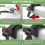 Car Seat Belt Pregnancy Adjustable Seatbelt 4