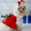Weihnachtskleid für Hunde, festliches Outfit, Rock 6