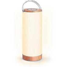 Lampe de table LED rechargeable pour la maison et l'extérieur, tactile, portable et à intensité variable