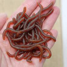 Verpakking van 100 stuks, 8 cm, 0,4 g, rode wormpjes, zacht kunstaas met visgeur, kunstmatige regenwormen voor zoetwatervissen