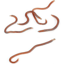 Lot de 100 leurres souples en forme de vers rouges de 8 cm et 0,4 g, imitant des vers de terre artificiels et odorants, pour la pêche e