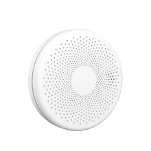 Rh-Ws11-W Wifi 2-in-1 -palovaroitin hiilimonoksidikomposiittisavuanturilla Lahjat: RH-WS11-W