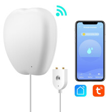 Alarme de niveau d'eau intelligente Graffiti Rsh-Wl03, détecteur de fuites d'eau à distance Wi-Fi