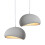 2X 60CM Creative Personalized Chandelier Indoor Ceiling Light E27 Retro Pendant Light Modern Grey Pendant Lights 1